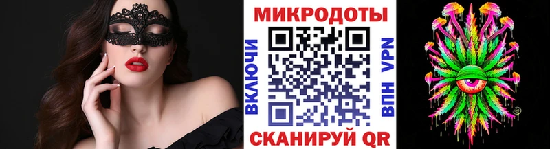 Псилоцибиновые грибы Cubensis OMG tor Прохладный